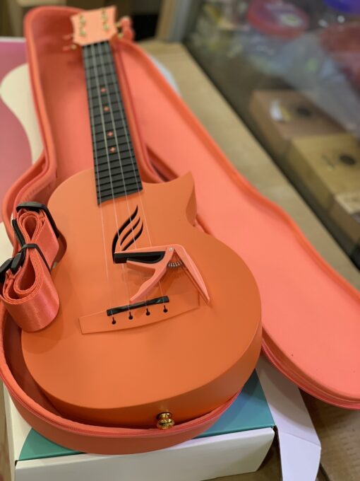ĐÀN UKULELE CONCERT ENYA NOVA - Ảnh 13