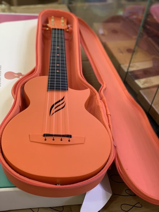 ĐÀN UKULELE CONCERT ENYA NOVA - Ảnh 2