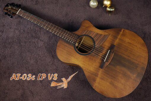 Thuận guitar AT-03C LP VS - Ảnh 6