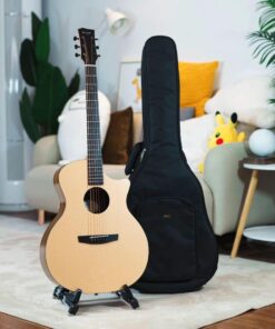Guitar Enya EAG X0