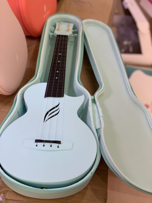 ĐÀN UKULELE CONCERT ENYA NOVA - Ảnh 9
