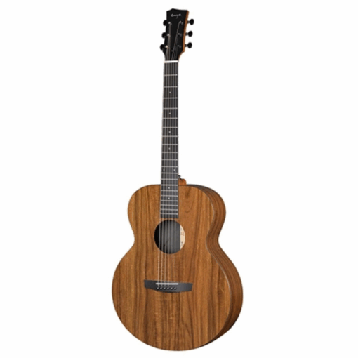 ĐÀN GUITAR ACOUSTIC ENYA EA X1 KOA - Ảnh 5