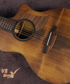 Thuận guitar AT-03C LP VS