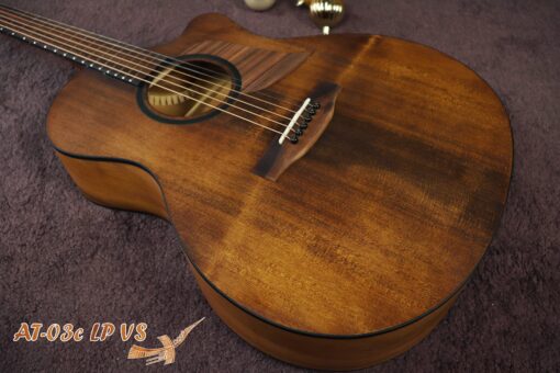 Thuận guitar AT-03C LP VS - Ảnh 3
