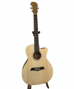 THANH GUITAR AT-02 CX CUSTOM