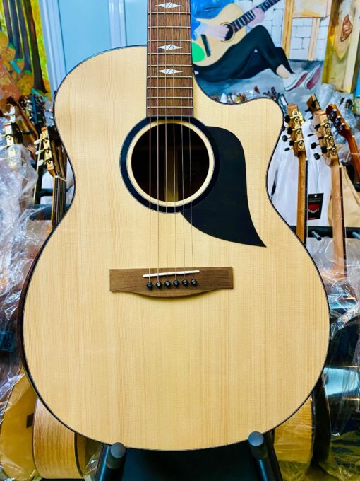 Thuận Guitar AT-02 CX Custom 2023 - Ảnh 2
