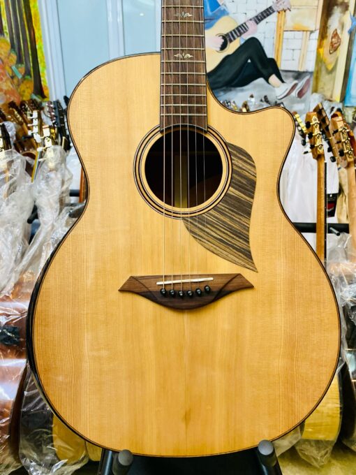 Thuận Guitar AT-04 CX Custom 2023 - Ảnh 13