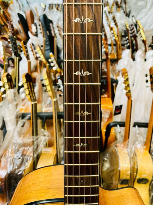 Thuận Guitar AT-04 CX Custom 2023 - Ảnh 12