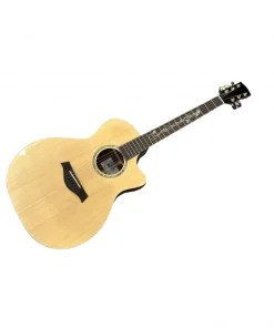 Thanh Guitar AT-04C hoa cỏ mùa xuân 2025