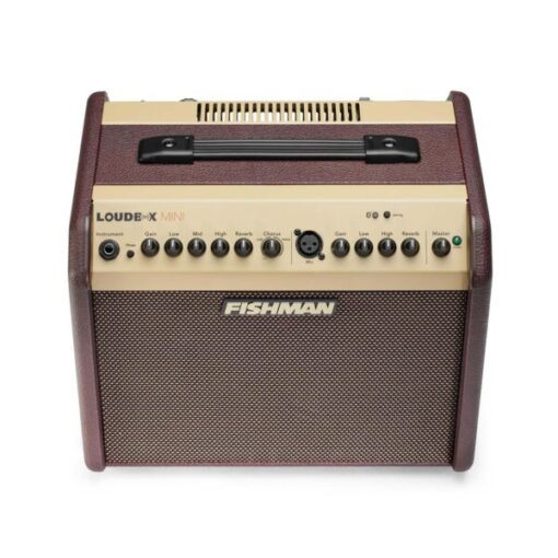 Fishman Loudbox Bluetooth 120W - Ảnh 5