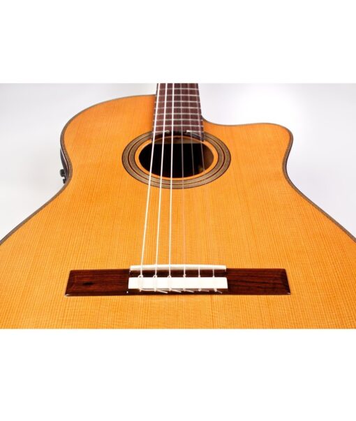 Guitar Cordoba Fusion 12 Natural Chính Hãng- NgocTuanMusic - Ảnh 6
