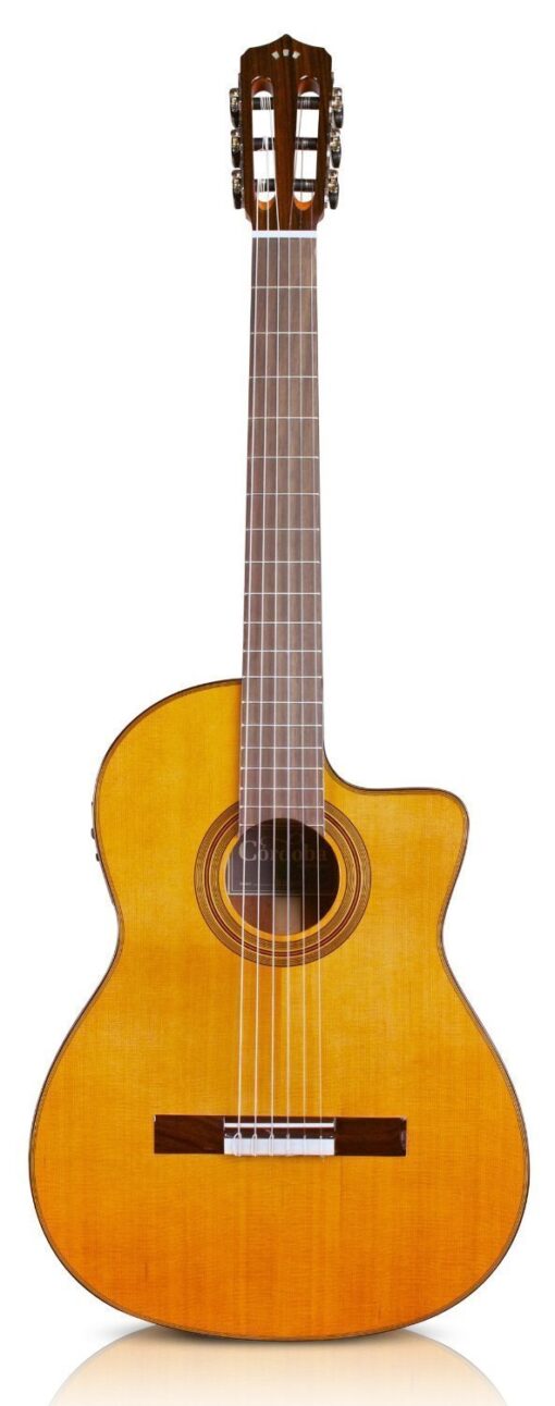 Guitar Cordoba Fusion 12 Natural Chính Hãng- NgocTuanMusic