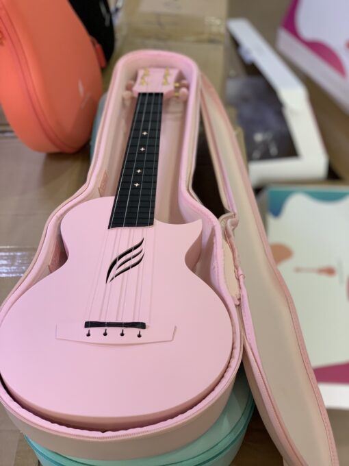 ĐÀN UKULELE CONCERT ENYA NOVA - Ảnh 15