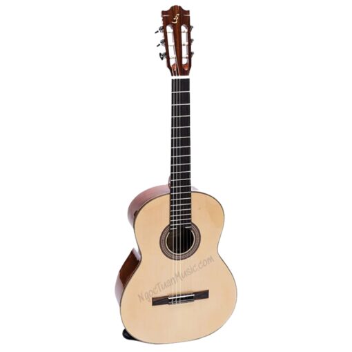 Guitar Classic Ba Đờn C250 - Ảnh 2