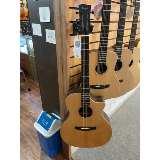 Guitar Enya EGA X1 PRO EQ HIỆU ỨNG - Ảnh 2