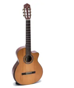 Guitar Acoustic Ba Đờn C450J