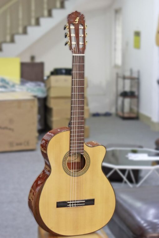 Guitar Acoustic Ba Đờn C450J - Ảnh 2