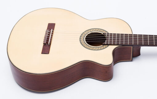 Guitar Classic Ba Đờn C250-J - Ảnh 3