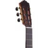 Cordoba C12 CD 9 dan guitar classic cordoba c12 cd cedar khoa dan