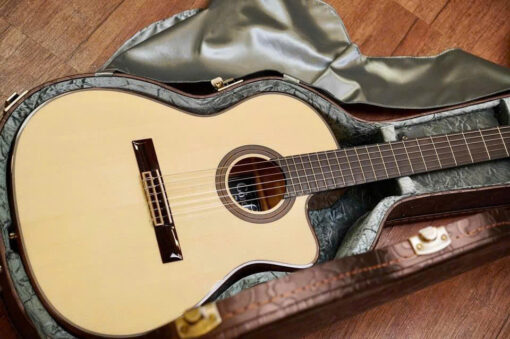 Đàn Guitar Classic Cordoba Fusion 14 Maple Kèm Túi Hãng Cao Cấp - Ảnh 14