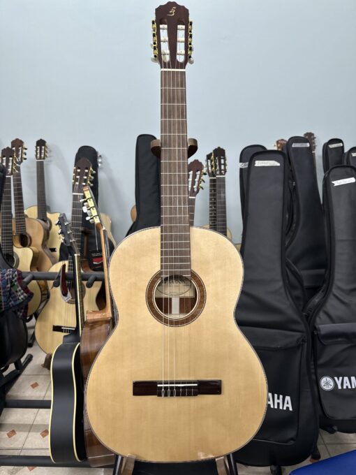 Guitar classic Ba đờn C170
