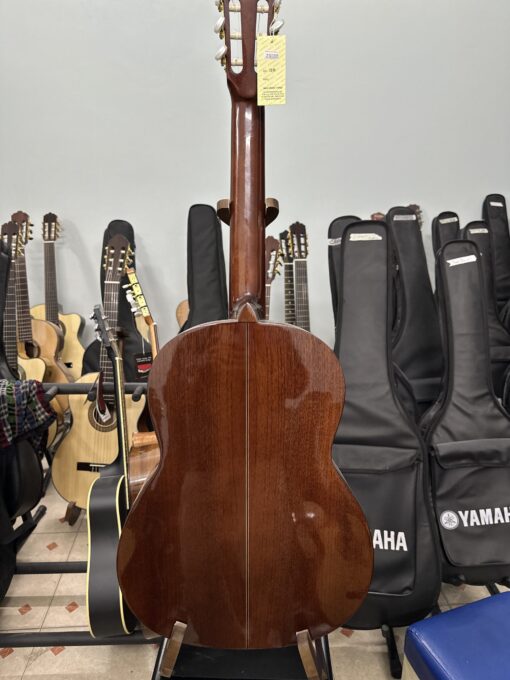 Guitar classic Ba đờn C170 - Ảnh 4