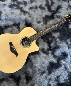 Thanh Guitar AT-04C hoa cỏ mùa xuân 2025