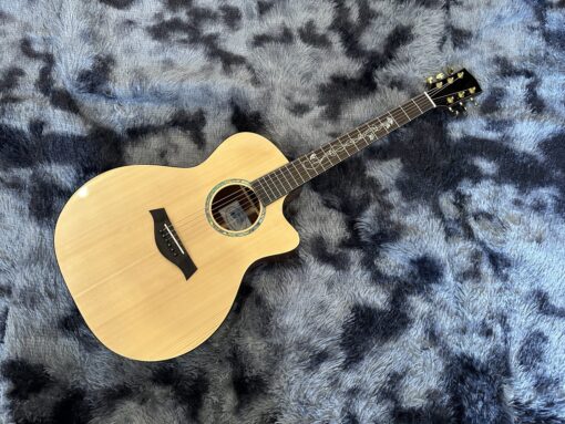 Thanh Guitar AT-04C hoa cỏ mùa xuân 2025