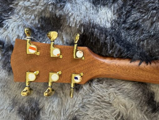 Thanh Guitar AT-04C hoa cỏ mùa xuân 2025 - Ảnh 6