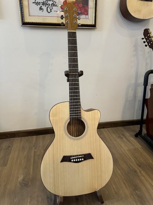 THANH GUITAR AT-02 CX CUSTOM