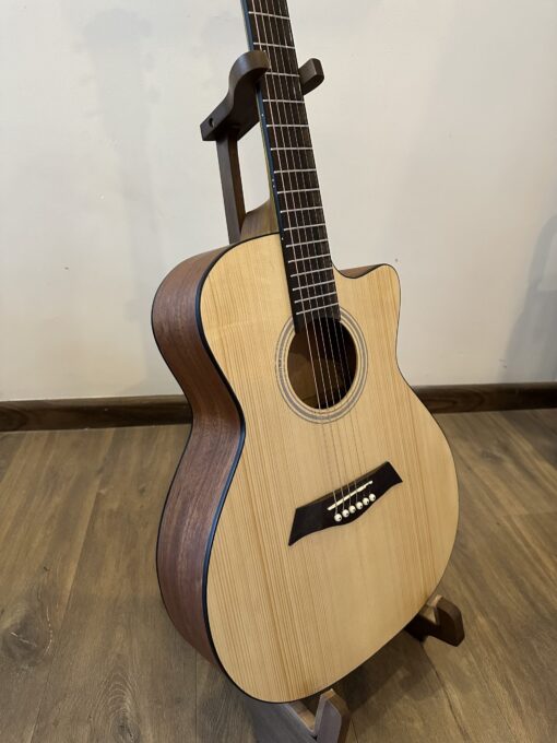 THANH GUITAR AT-02 CX CUSTOM - Ảnh 2