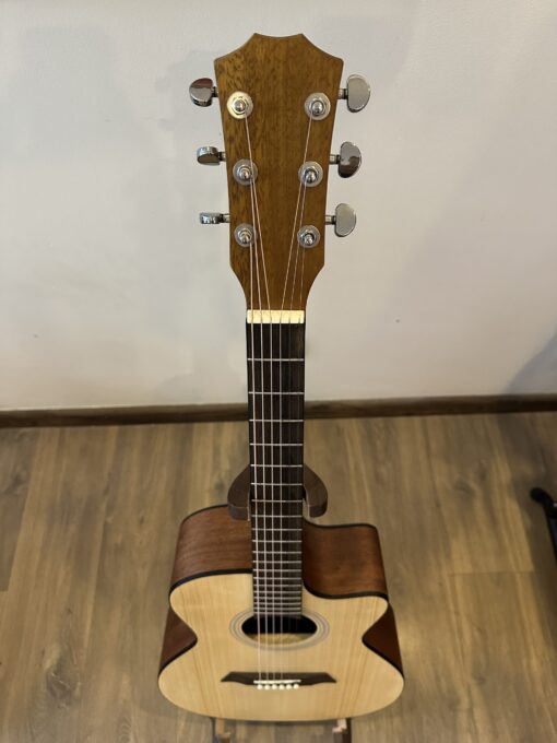 THANH GUITAR AT-02 CX CUSTOM - Ảnh 3