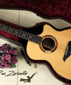 Thuận Guitar AT-07 CX Ziricote