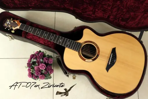 Thuận Guitar AT-07 CX Ziricote