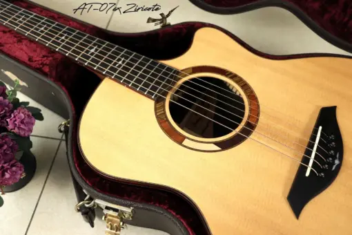 Thuận Guitar AT-07 CX Ziricote - Ảnh 3