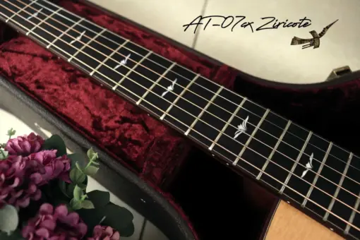 Thuận Guitar AT-07 CX Ziricote - Ảnh 5