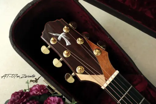 Thuận Guitar AT-07 CX Ziricote - Ảnh 6