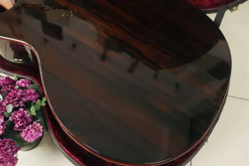 Thuận Guitar AT-07 CX Ziricote - Ảnh 9