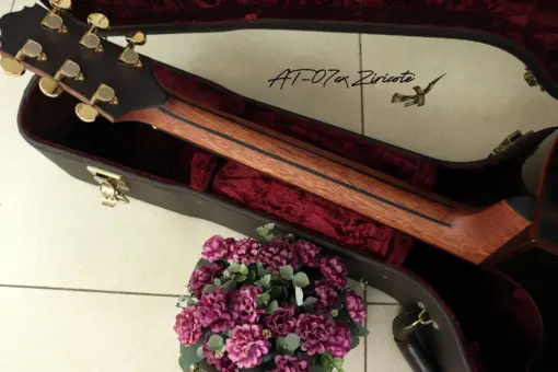 Thuận Guitar AT-07 CX Ziricote - Ảnh 10
