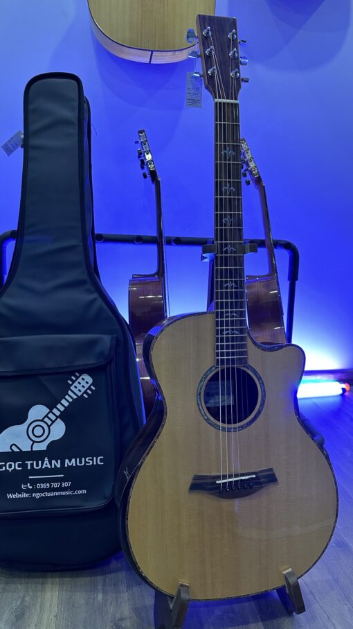 Thanh Guitar AT-07 CX custom - Ảnh 7