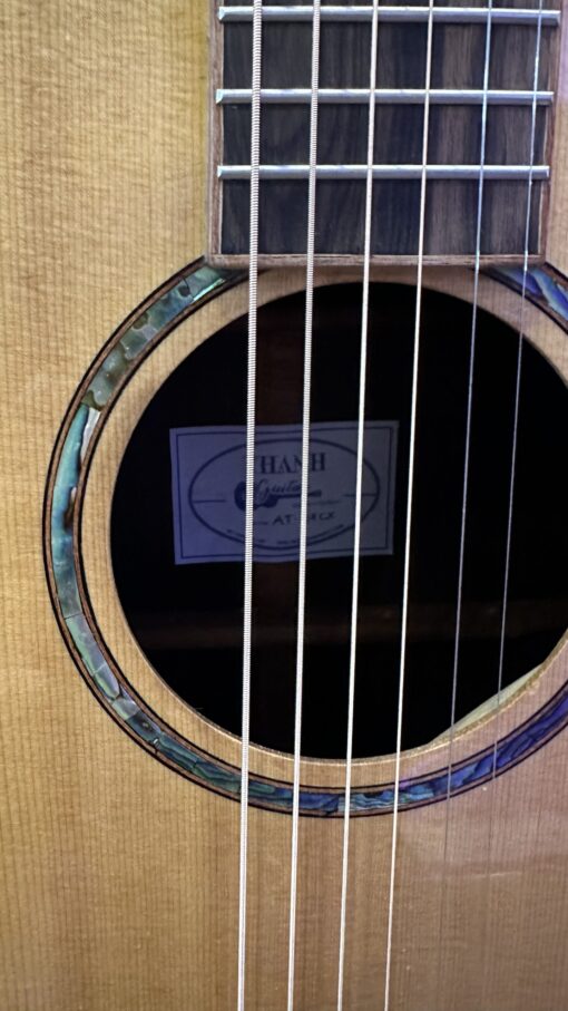 Thanh Guitar AT-07 CX custom - Ảnh 4