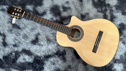 Thanh Guitar C350