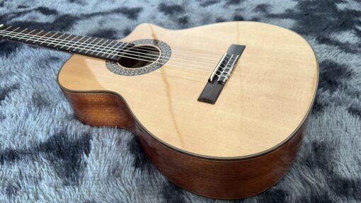 Thanh Guitar C350 - Ảnh 3
