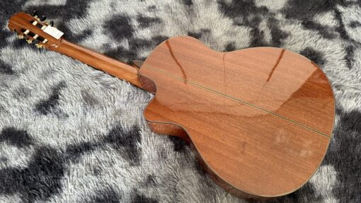 Thanh Guitar C350 - Ảnh 2