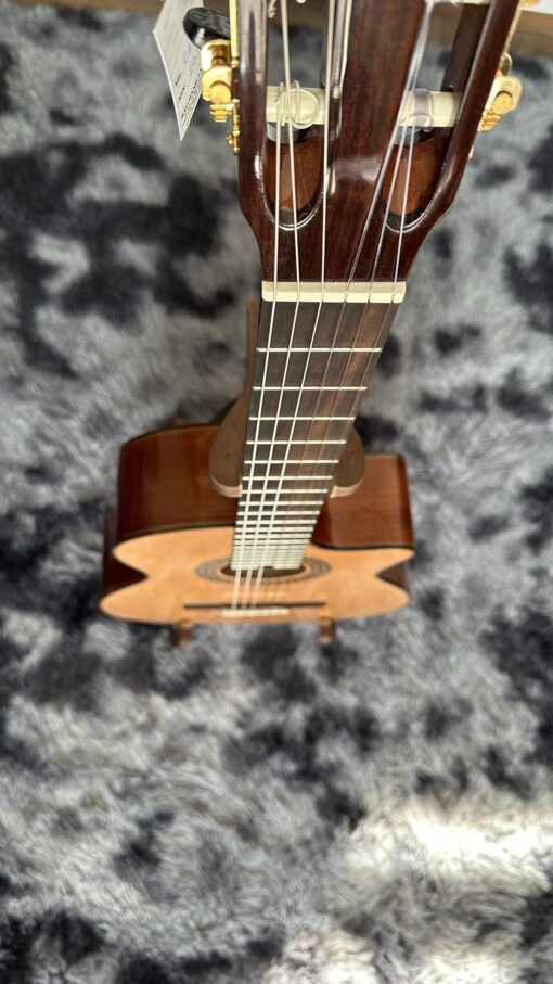 Thanh Guitar C350 - Ảnh 6