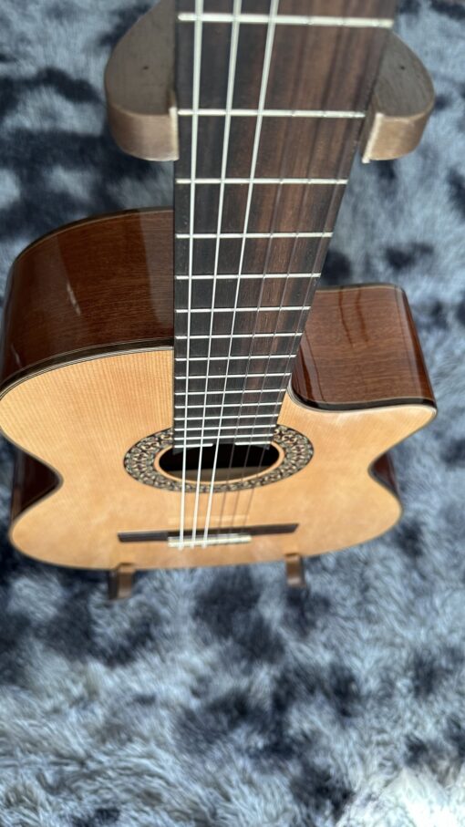 Thanh Guitar C350 - Ảnh 7