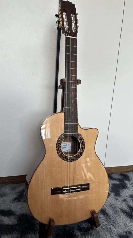 Thanh Guitar C350 - Ảnh 9