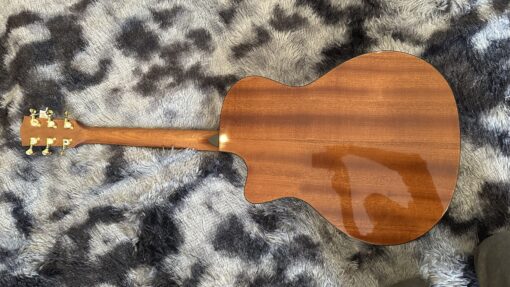 Thanh Guitar AT-04C hoa cỏ mùa xuân 2025 - Ảnh 4