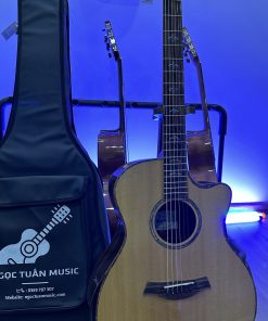 Thanh Guitar AT-07 CX custom