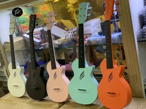 ĐÀN UKULELE CONCERT ENYA NOVA - Ảnh 17